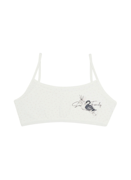 Donella 5922Y1 Assorted 10-Pack Bra — Istanbul wholesale supplier