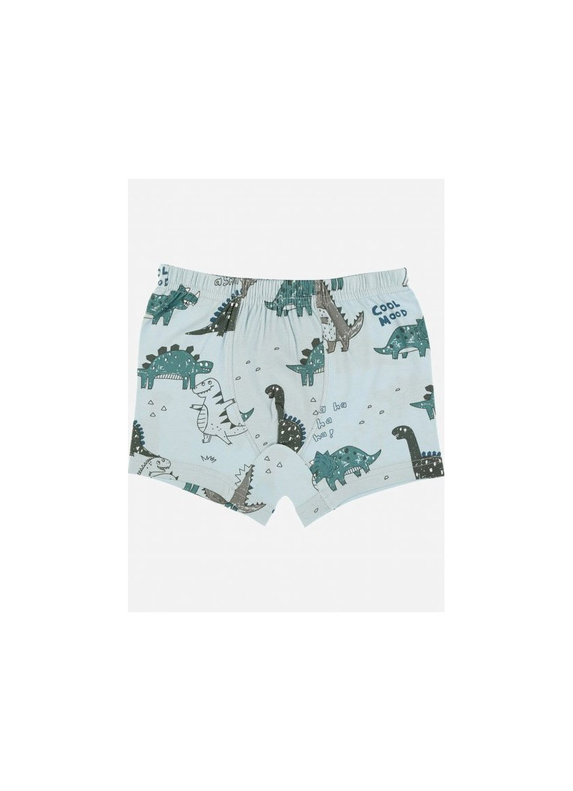 Donella 75767 Assorted 10-Pack Boys' Boxer Briefs — wholesale from Turkey