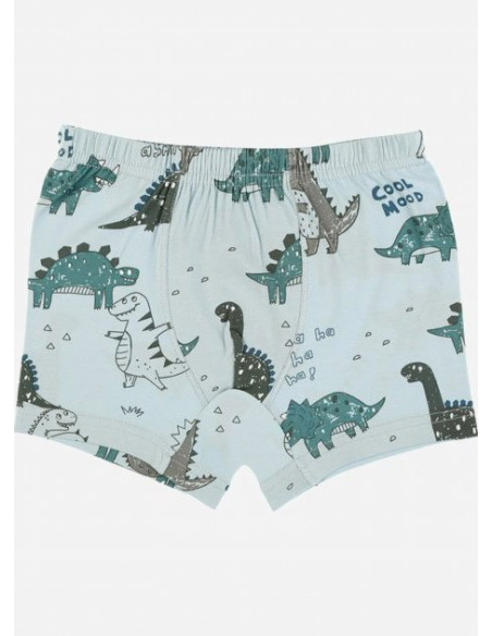 Donella 75767 Assorted 10-Pack Boys' Boxer Briefs — wholesale from Turkey