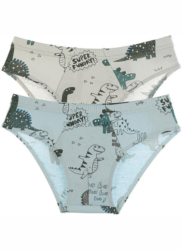 Donella 76767 Assorted 10-Pack Boys' Boxer Briefs — Turkish factory wholesale