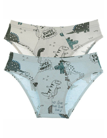 Donella 76767 Assorted 10-Pack Boys' Boxer Briefs — Turkish factory wholesale