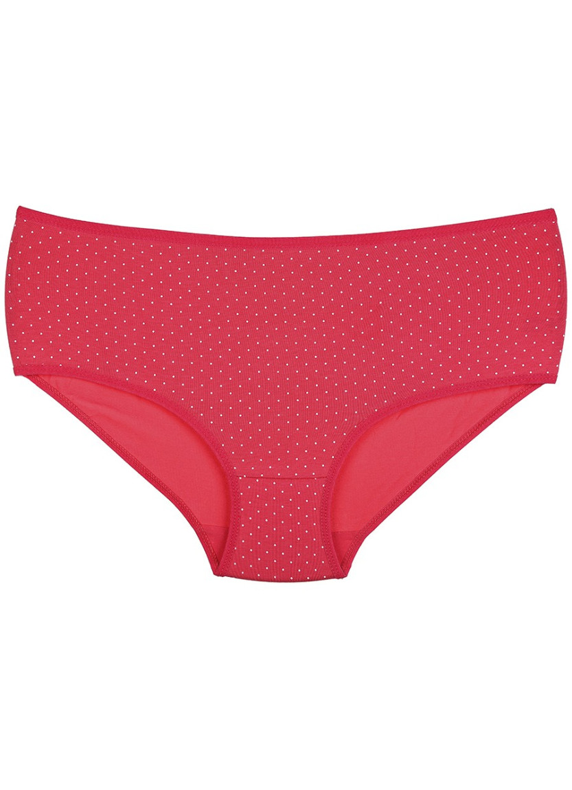 Donella 25256 Assorted 10-Pack Women's Briefs — Istanbul wholesale supplier