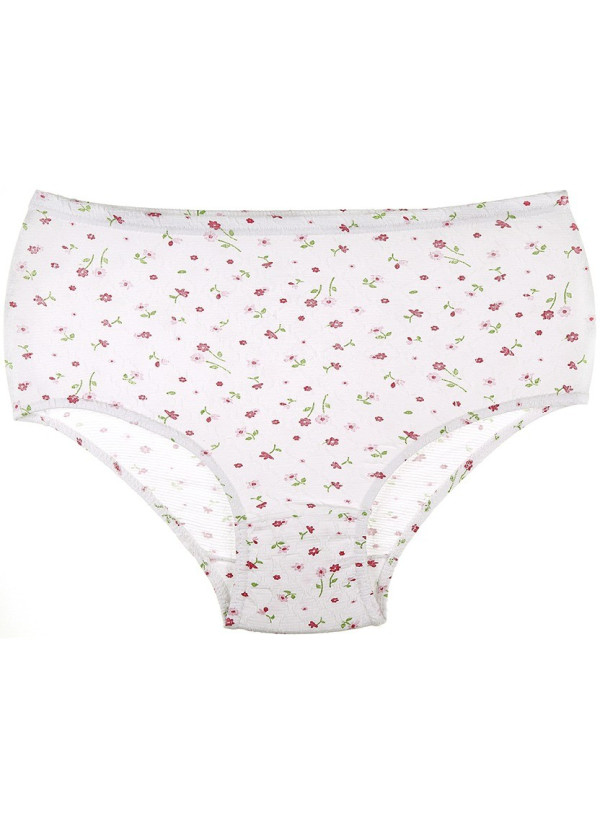 Donella 2021E2 Assorted 10-Pack Women's Briefs — Istanbul wholesale supplier 2