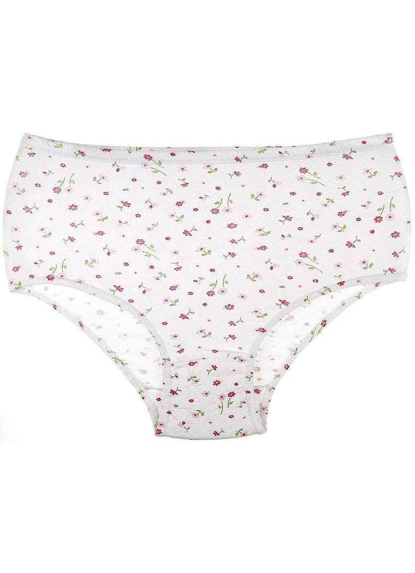 Donella 2021E2 Assorted 10-Pack Women's Briefs — wholesale for boutiques