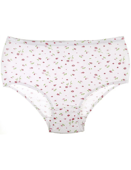 Donella 2021E2 Assorted 10-Pack Women's Briefs — wholesale for boutiques