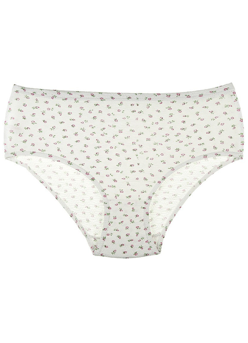 Donella 2021E2 Assorted 10-Pack Women's Briefs — wholesale for boutiques