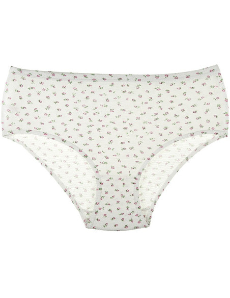 Donella 2021E2 Assorted 10-Pack Women's Briefs — wholesale for boutiques