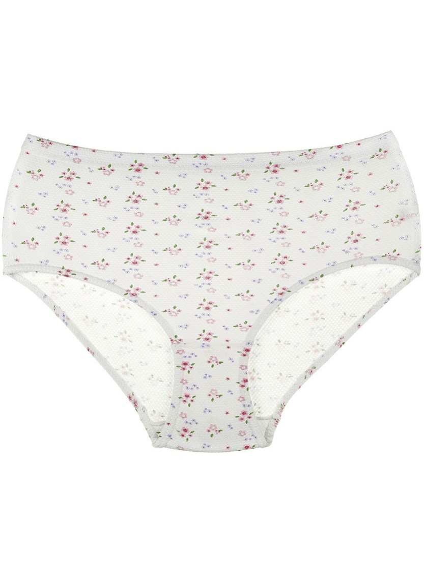 Donella 2021E2 Assorted 10-Pack Women's Briefs — Turkey wholesale collection