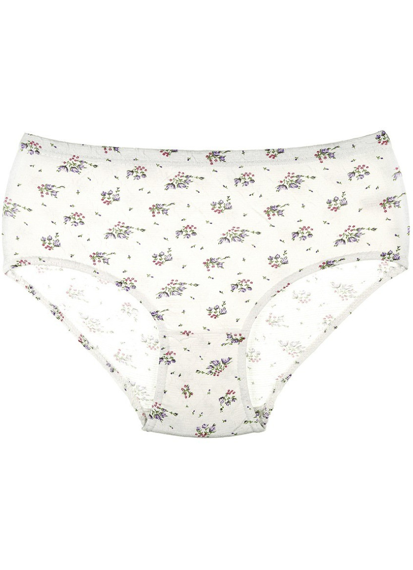 Donella 2021E2 Assorted 10-Pack Women's Briefs — Turkish factory wholesale