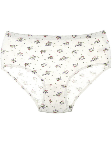 Donella 2021E2 Assorted 10-Pack Women's Briefs — Turkish factory wholesale