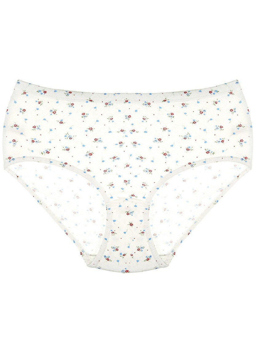 Donella 2021E2 Assorted 10-Pack Women's Briefs — Istanbul wholesale supplier