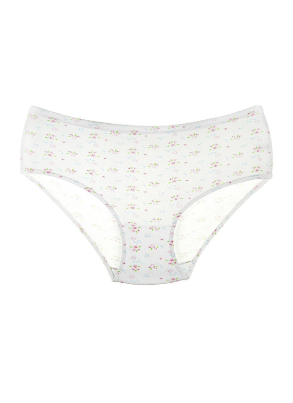 Donella 2031E2 Assorted 10-Pack Women's Briefs — wholesale from Turkey 2