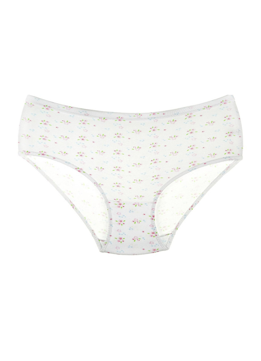 Donella 2031E2 Assorted 10-Pack Women's Briefs — factory-direct from Turkey