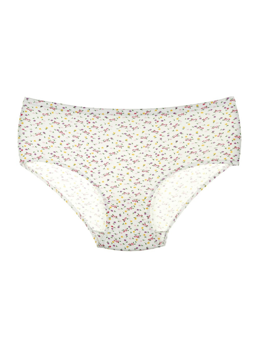 Donella 2031E2 Assorted 10-Pack Women's Briefs — Turkish textile wholesale