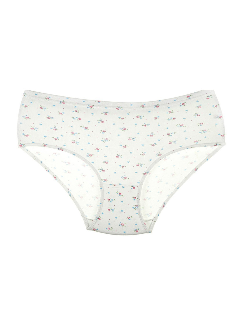 Donella 2031E2 Assorted 10-Pack Women's Briefs — direct Turkish factory supply