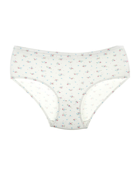 Donella 2031E2 Assorted 10-Pack Women's Briefs — direct Turkish factory supply