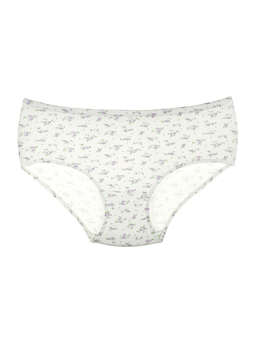 Donella 2031E2 Assorted 10-Pack Women's Briefs — wholesale from Turkey