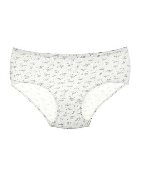 Donella 2031E2 Assorted 10-Pack Women's Briefs — wholesale from Turkey