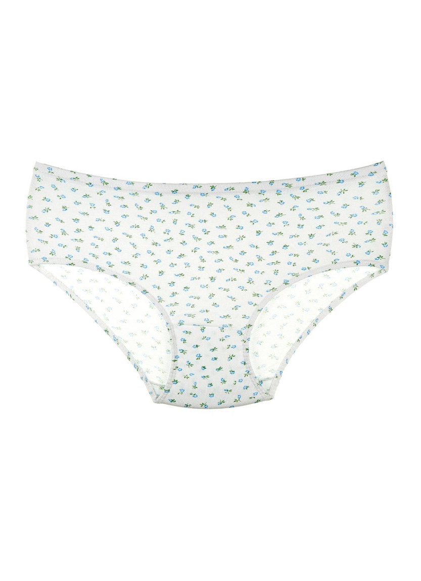 Donella 2031E2 Assorted 10-Pack Women's Briefs — factory-direct from Turkey