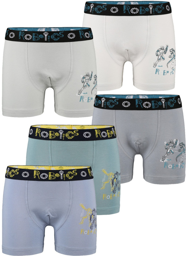 Donella 8011Y4 Assorted 10-Pack Boys' Boxer Briefs — wholesale from Turkey