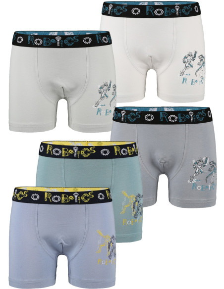 Donella 8011Y4 Assorted 10-Pack Boys' Boxer Briefs — wholesale from Turkey