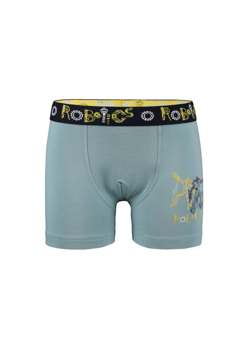 Donella 8011Y4 Assorted 10-Pack Boys' Boxer Briefs — Turkish textile wholesale
