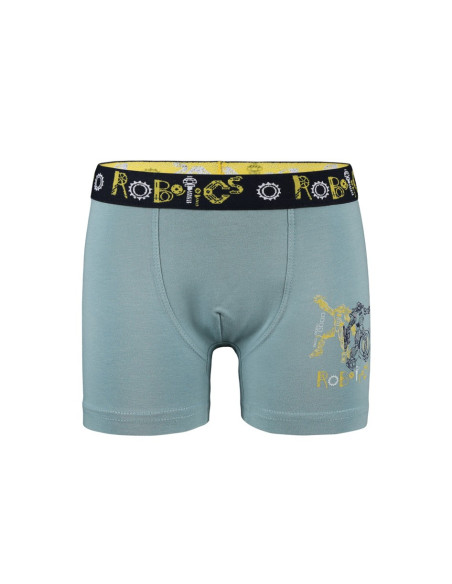 Donella 8011Y4 Assorted 10-Pack Boys' Boxer Briefs — Turkish textile wholesale