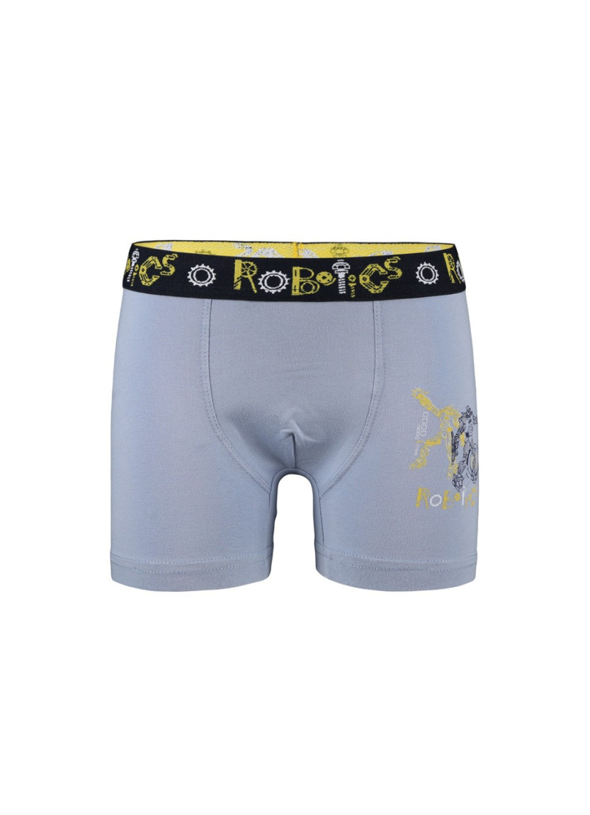 Donella 8011Y4 Assorted 10-Pack Boys' Boxer Briefs — wholesale from Turkey