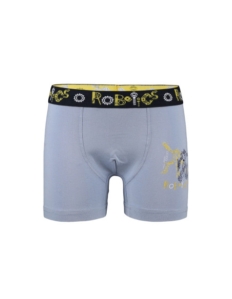 Donella 8011Y4 Assorted 10-Pack Boys' Boxer Briefs — wholesale from Turkey