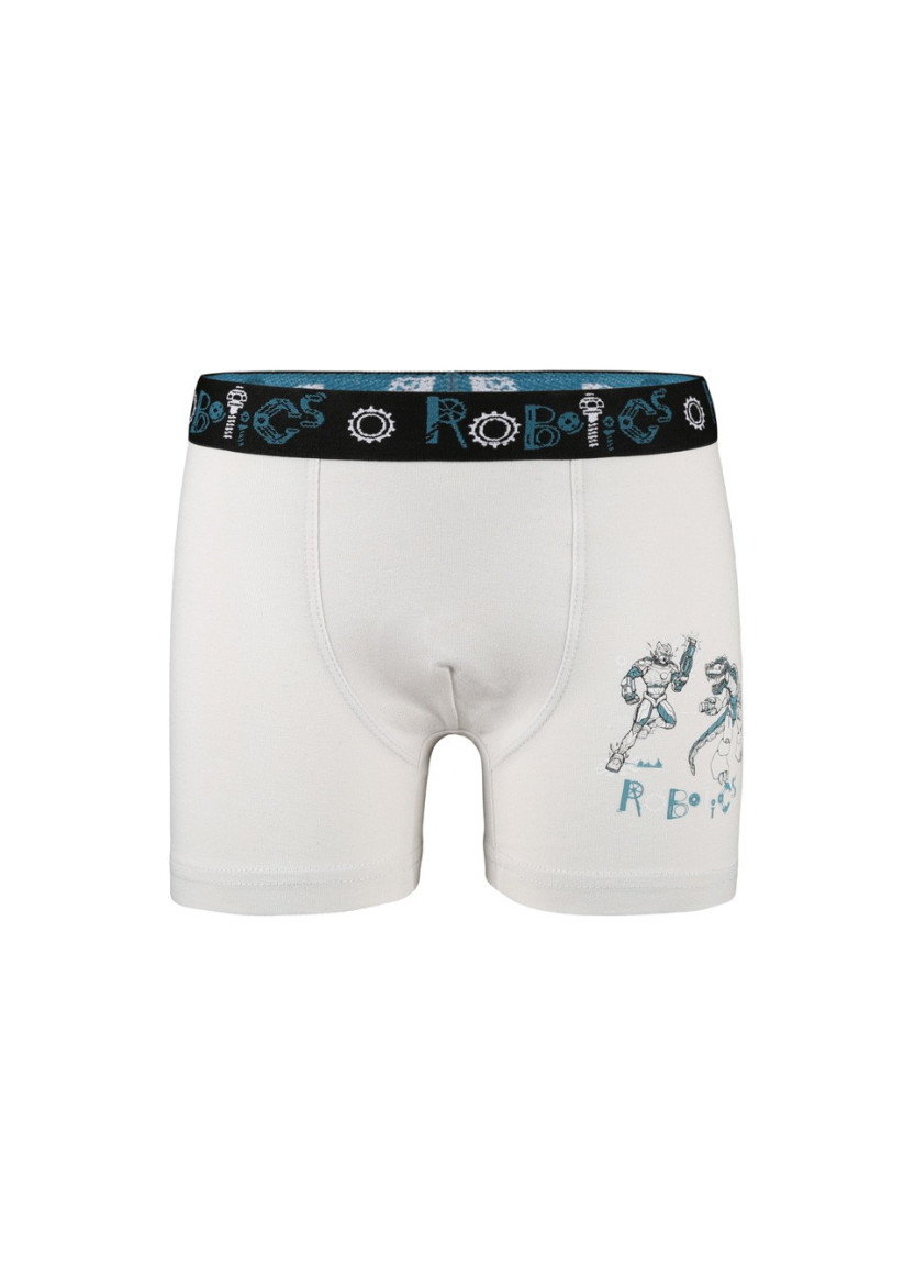 Donella 8011Y4 Assorted 10-Pack Boys' Boxer Briefs — factory-direct from Turkey