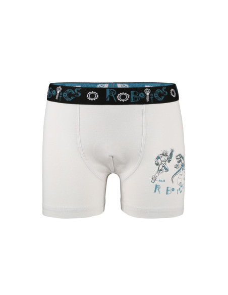 Donella 8011Y4 Assorted 10-Pack Boys' Boxer Briefs — factory-direct from Turkey