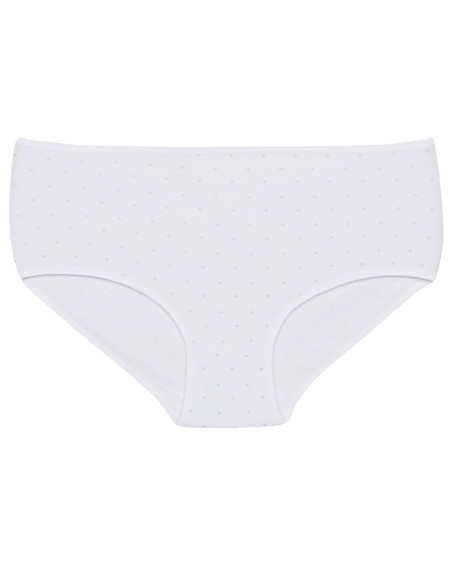 Donella 251314 Assorted 10-Pack Women's Briefs — wholesale for boutiques