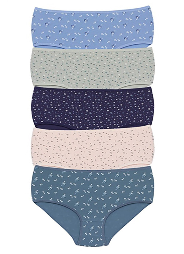 Donella 251318 Assorted 10-Pack Women's Briefs — wholesale for boutiques