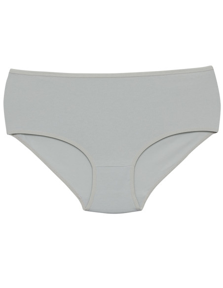 Donella 2571WD11 Assorted 10-Pack Women's Briefs — Turkish factory wholesale
