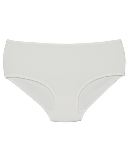 Donella 2571WD11 Assorted 10-Pack Women's Briefs — wholesale for boutiques