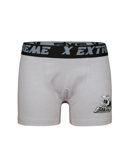 Трусики для Мальчиков Boxer (Ассорти) 10 шт/уп Donella 8071PB3 — оптом от турецкой фабрики