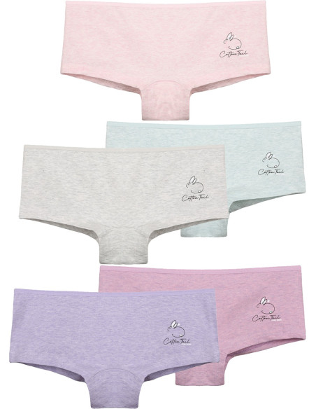 Donella 5724Y6 Assorted 10-Pack Girls' Briefs — Istanbul wholesale supplier