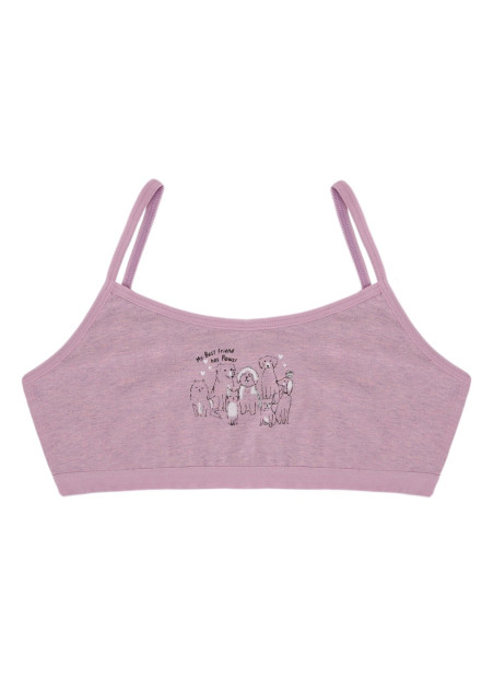 Donella 5924B1 Assorted 10-Pack Bra — factory-direct from Turkey