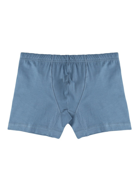 Donella 8171P Assorted 10-Pack Boys' Boxer Briefs — wholesale from Turkey