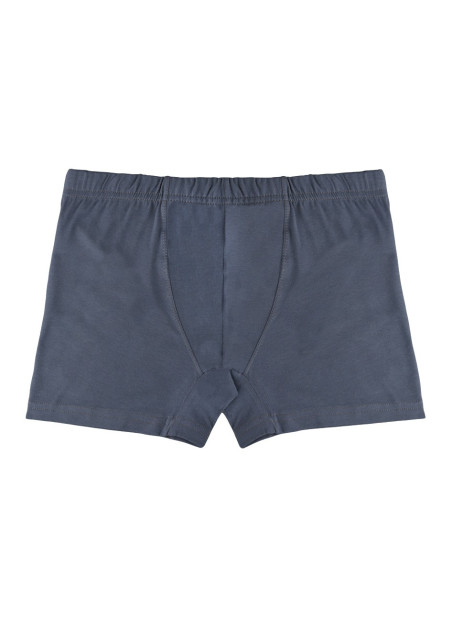 Donella 8171P Assorted 10-Pack Boys' Boxer Briefs — Turkish textile wholesale