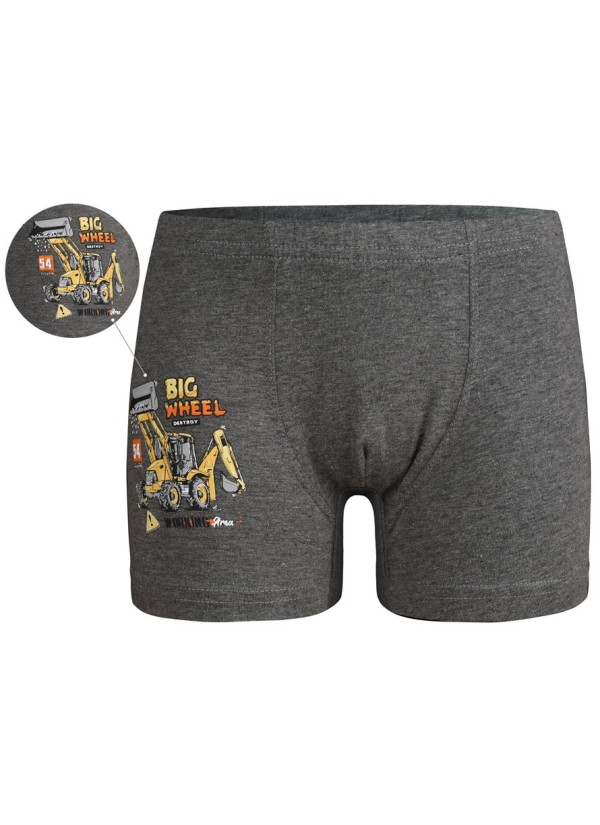Donella 7524Y1 Оптом Турция Фабрика Трусики для Мальчиков Boxer (Ассорти) 10 шт/уп Donella 7524Y1 Купить Оптом с Турции 2