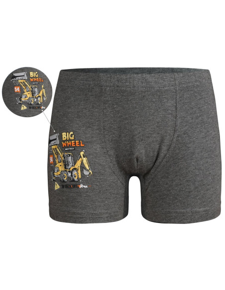 Donella 7524Y1 Оптом Турция Фабрика Трусики для Мальчиков Boxer (Ассорти) 10 шт/уп Donella 7524Y1 Купить Оптом с Турции