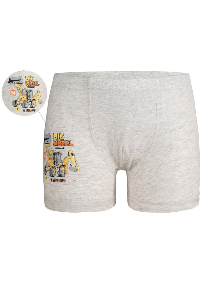 Donella 7524Y1 Оптом Турция Фабрика Трусики для Мальчиков Boxer (Ассорти) 10 шт/уп Donella 7524Y1 Купить Оптом с Турции