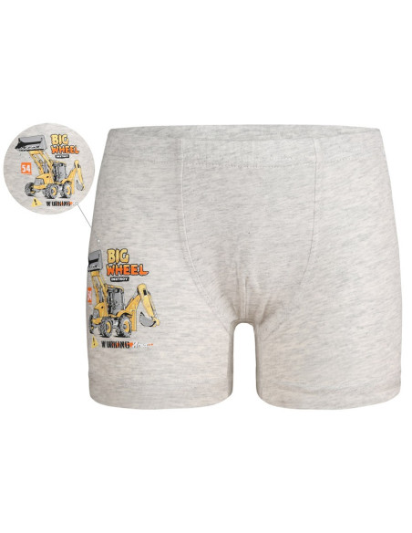 Donella 7524Y1 Оптом Турция Фабрика Трусики для Мальчиков Boxer (Ассорти) 10 шт/уп Donella 7524Y1 Купить Оптом с Турции