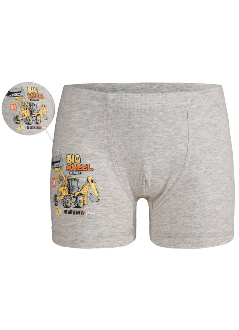 Donella 7524Y1 Оптом Турция Фабрика Трусики для Мальчиков Boxer (Ассорти) 10 шт/уп Donella 7524Y1 Купить Оптом с Турции