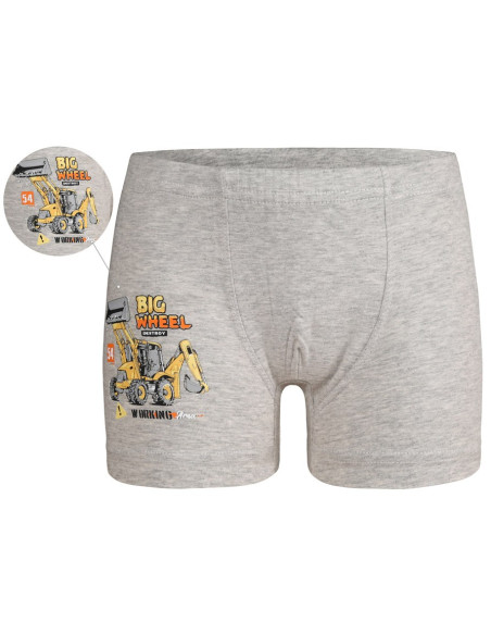 Donella 7524Y1 Оптом Турция Фабрика Трусики для Мальчиков Boxer (Ассорти) 10 шт/уп Donella 7524Y1 Купить Оптом с Турции