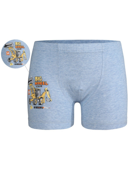 Donella 7524Y1 Оптом Турция Фабрика Трусики для Мальчиков Boxer (Ассорти) 10 шт/уп Donella 7524Y1 Купить Оптом с Турции