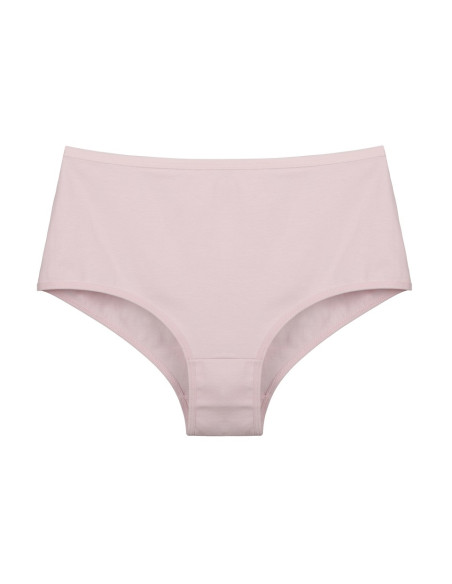 Donella 0671PD1 Assorted 10-Pack Women's Briefs — wholesale from Turkey