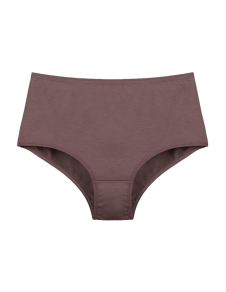 Donella 0671PD1 Assorted 10-Pack Women's Briefs — Turkish textile wholesale