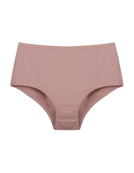 Donella 0671PD1 Assorted 10-Pack Women's Briefs — direct Turkish factory supply